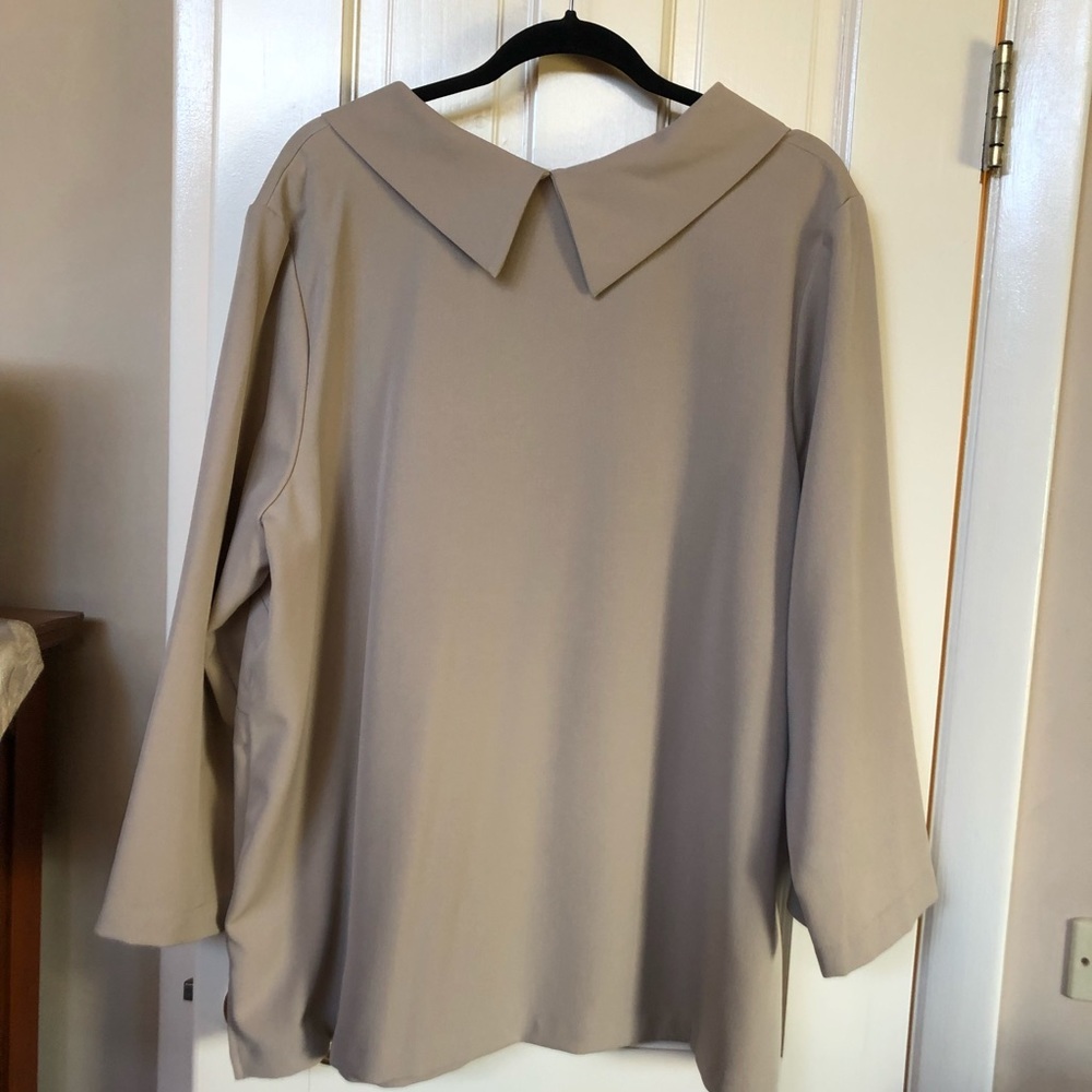 Louis Dell’Olio Tan Beige Top and Pants Set - 1X